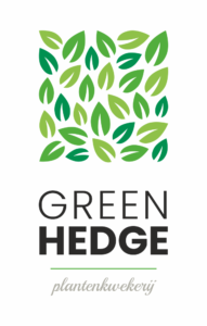 Green Hedge
