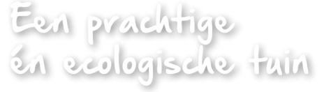 een prachtige én ecologische tuin-wit